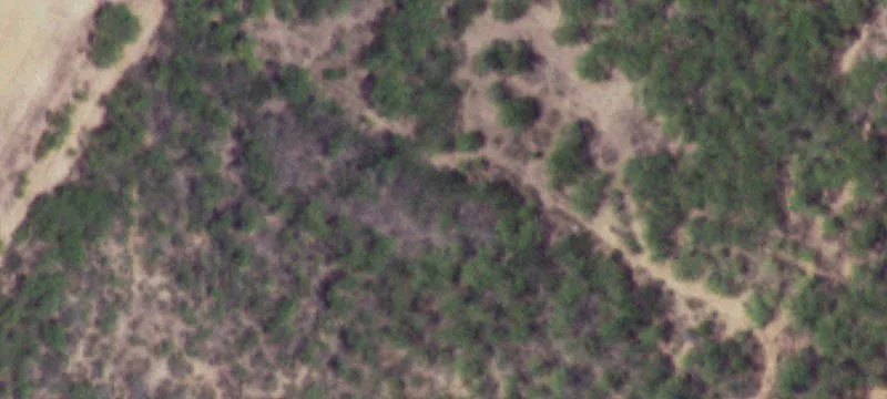 Bigfoot, TX 78005
