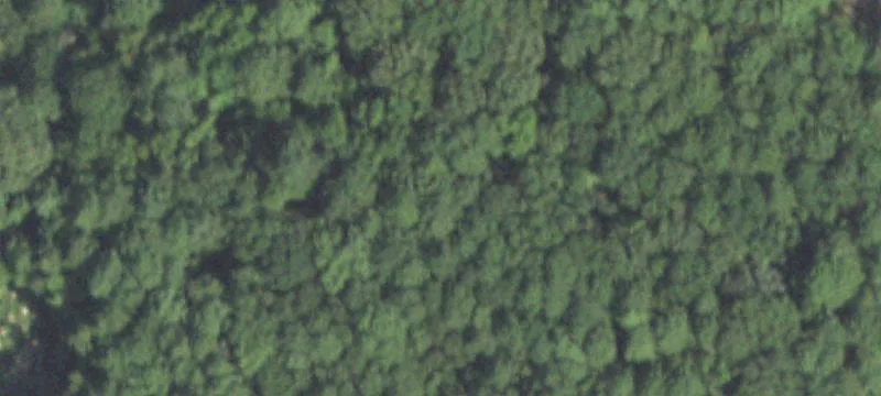 Hallsville, TX 75650