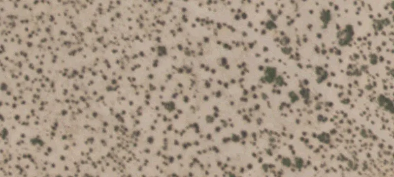 Tornillo, TX 79853