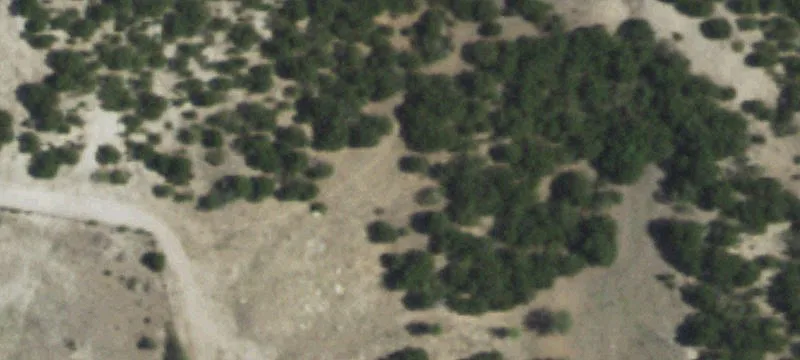 Tuscola, TX 79562