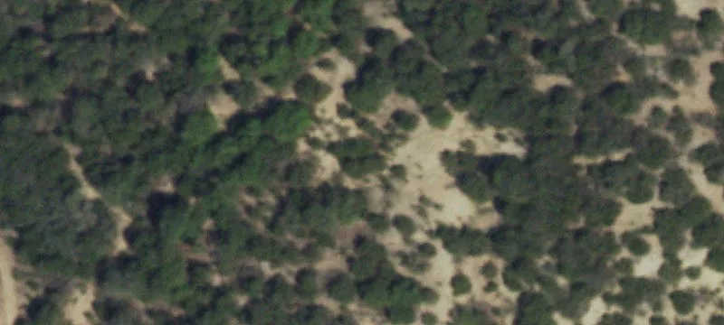 Ovalo, TX 79541