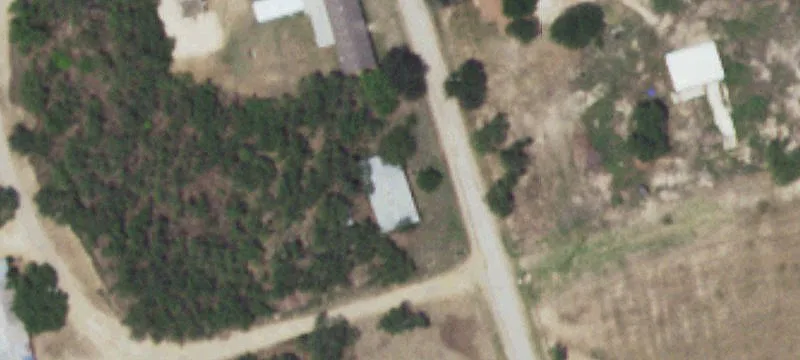 Christine, TX 78012