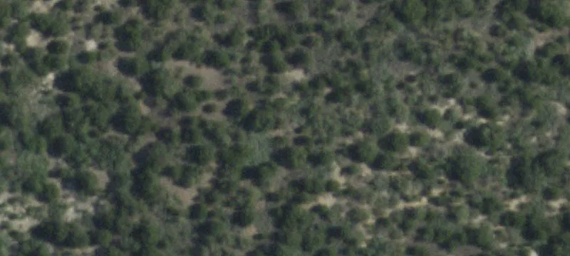 Wingate, TX 79566
