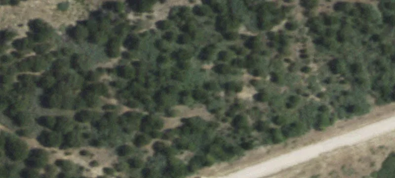 Wingate, TX 79566