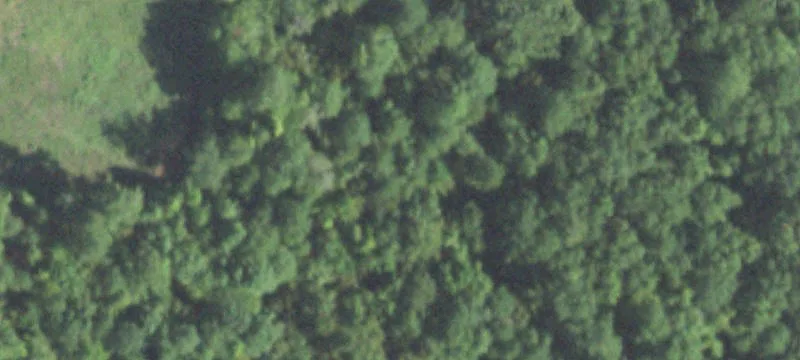 5 Notch Rd