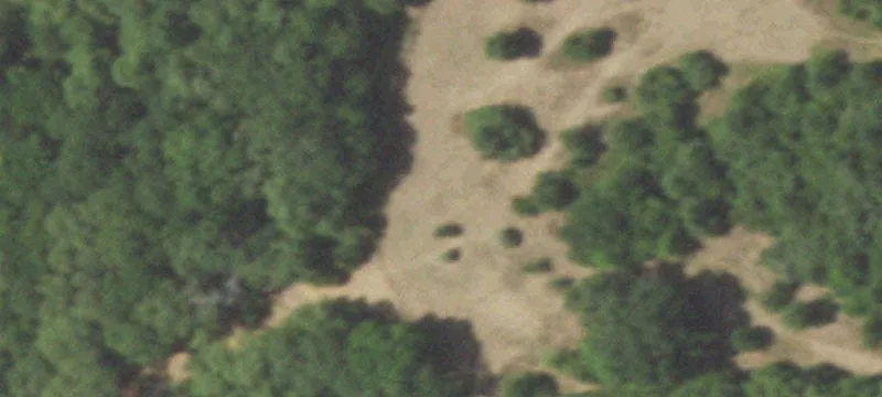 6804 Fm 315th S