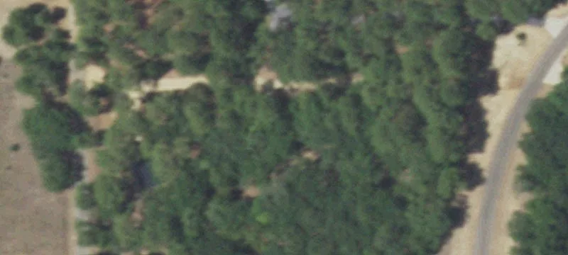 Safari Shrs Dr