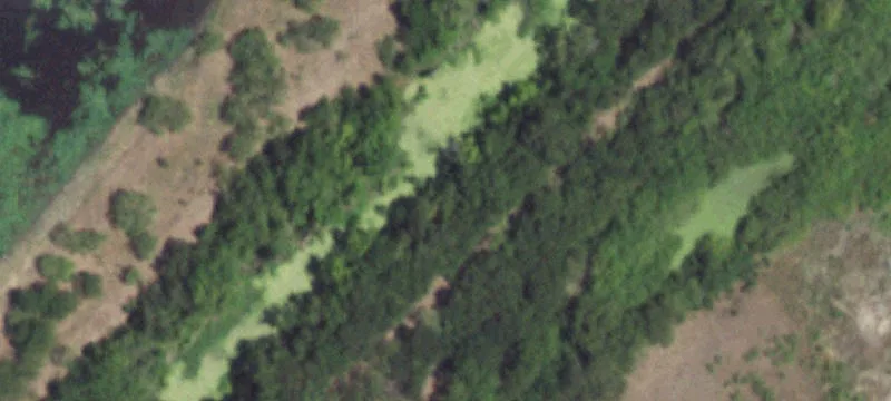 Scurry, TX 75158