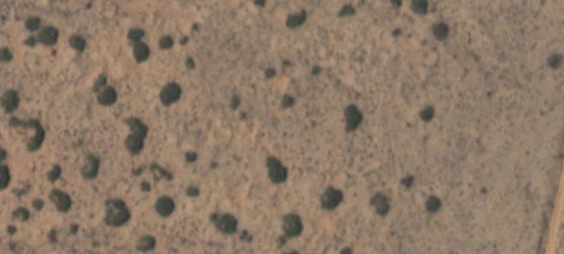 Clint, TX 79836