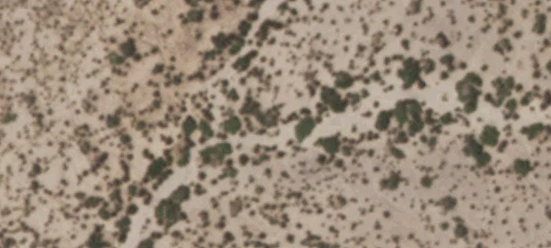 Tornillo, TX 79853