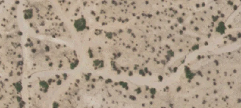 Tornillo, TX 79853