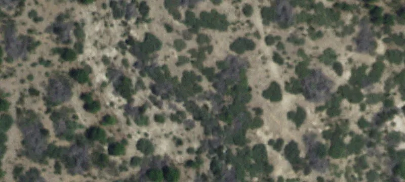 Merkel, TX 79536