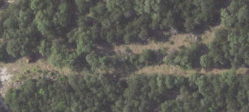 Nacogdoches Rd