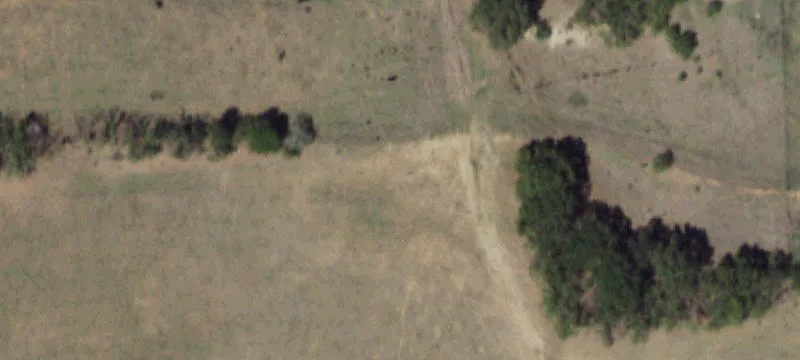 Tuscola, TX 79562