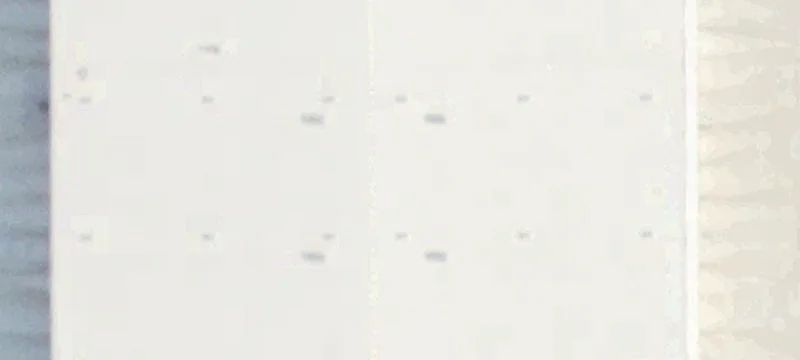 17440 Hwy 59th N