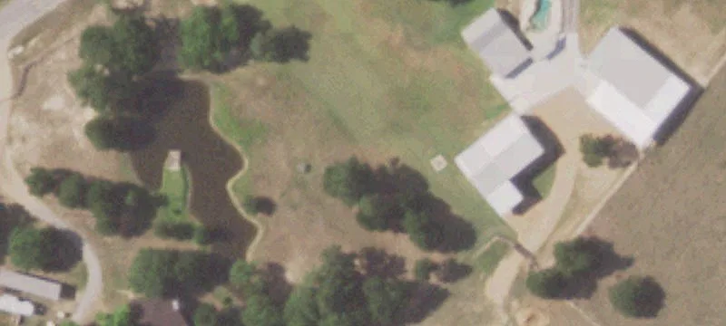 Walnut Dr