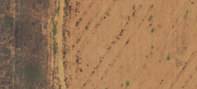 Morton, TX 79346