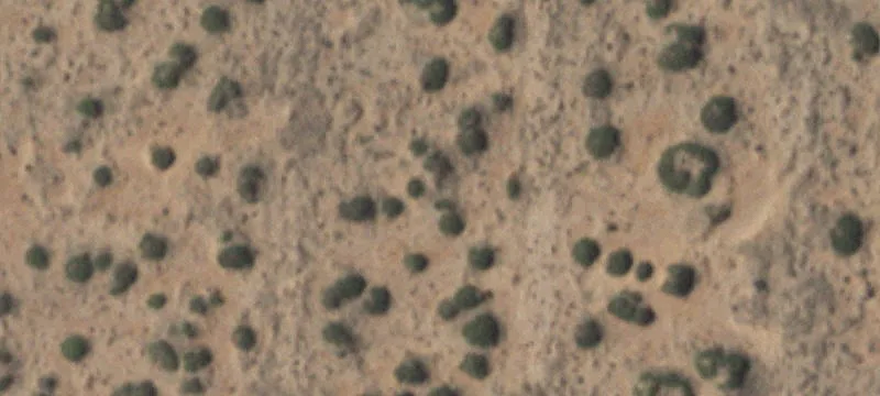 Clint, TX 79836
