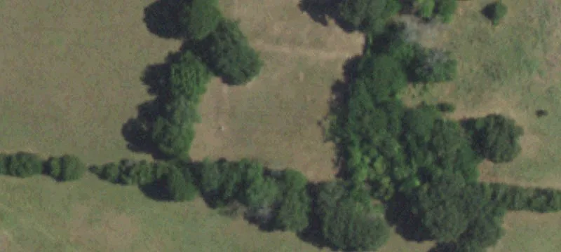 Sadler, TX 76264
