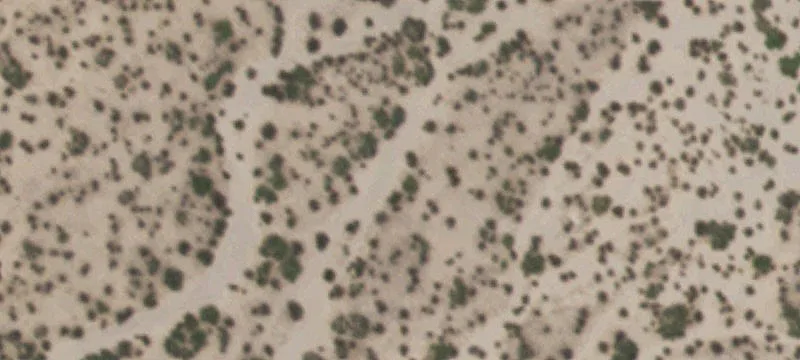 Tornillo, TX 79853