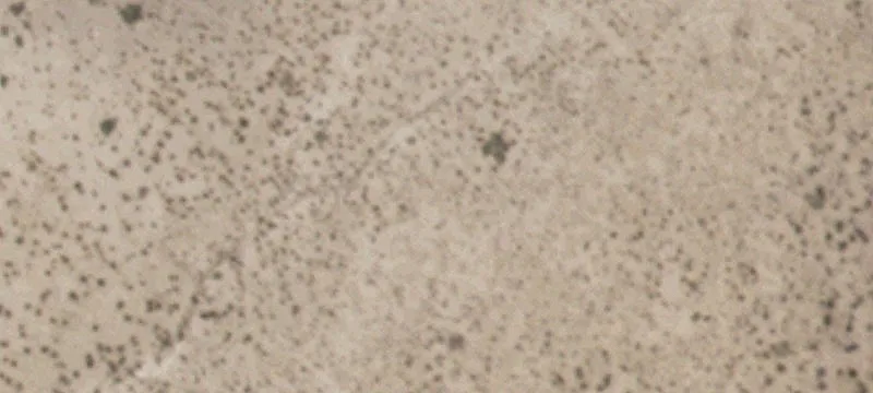 Tornillo, TX 79853