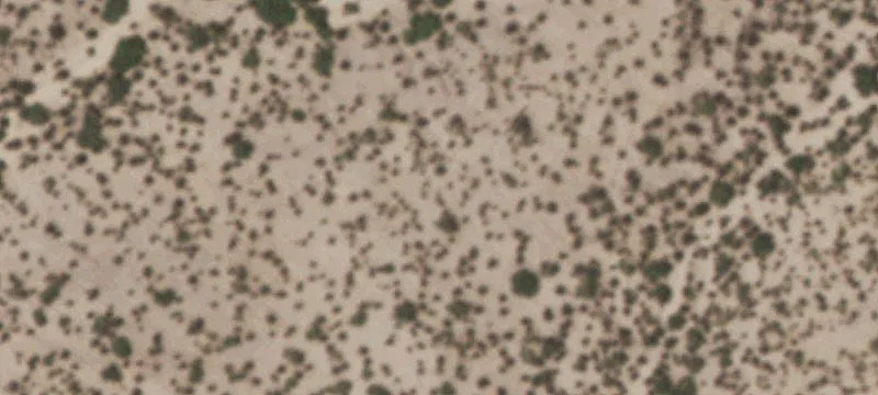 Tornillo, TX 79853