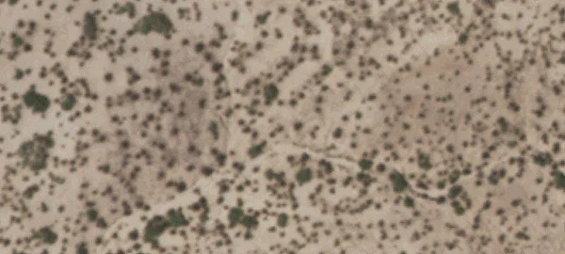Tornillo, TX 79853
