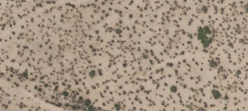 Tornillo, TX 79853