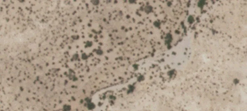 Tornillo, TX 79853