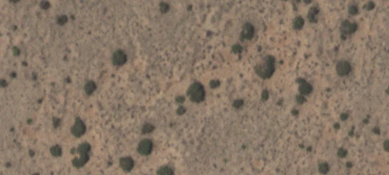 Clint, TX 79836
