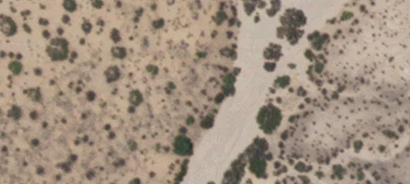 Tornillo, TX 79853