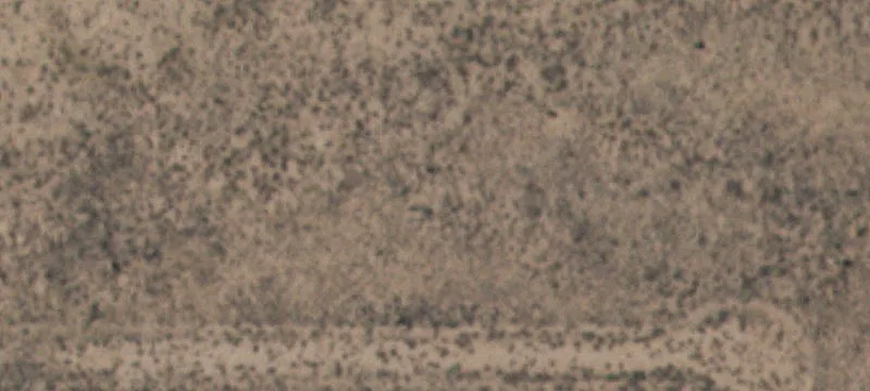 Clint, TX 79836