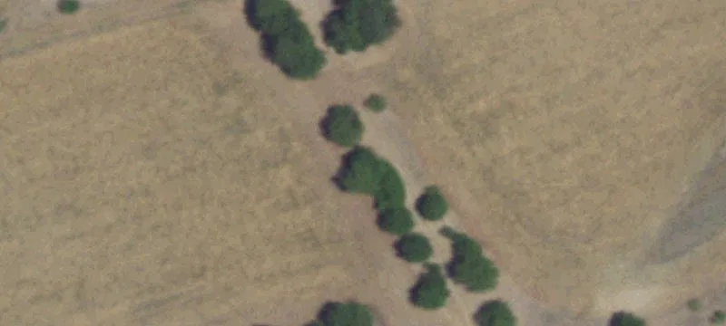 Plant Rd