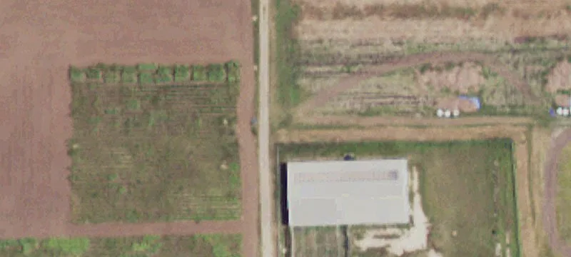 Mercedes, TX 78570