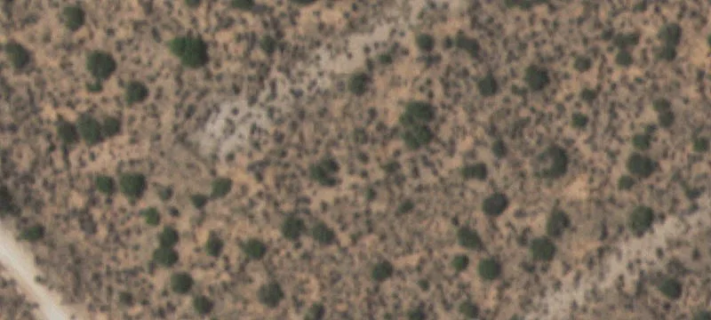 Clint, TX 79836