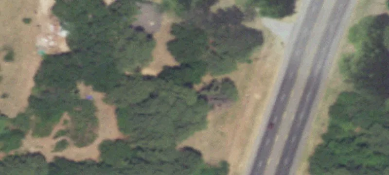 7800 State Hwy 155