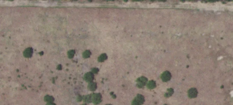 Christine, TX 78012