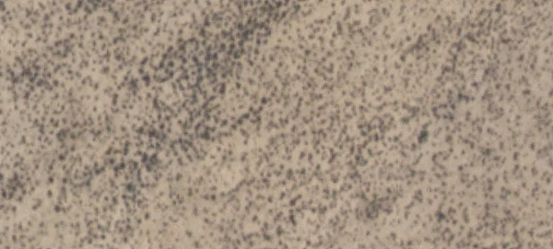 Sierra Blanca, TX 79851