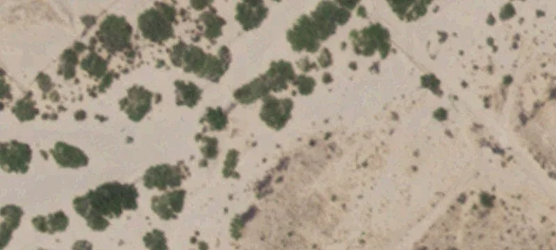 Tornillo, TX 79853