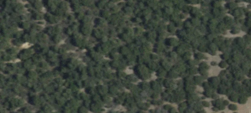 Tuscola, TX 79562