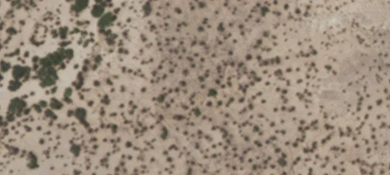 Tornillo, TX 79853