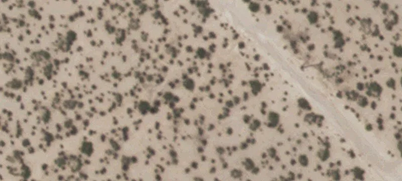 Tornillo, TX 79853