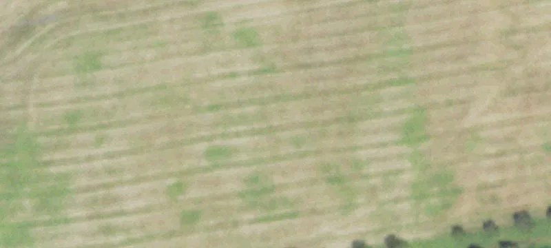14967 Highway 90