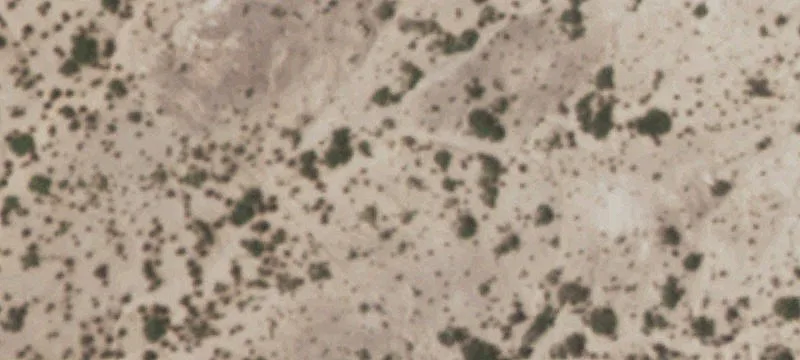 Tornillo, TX 79853