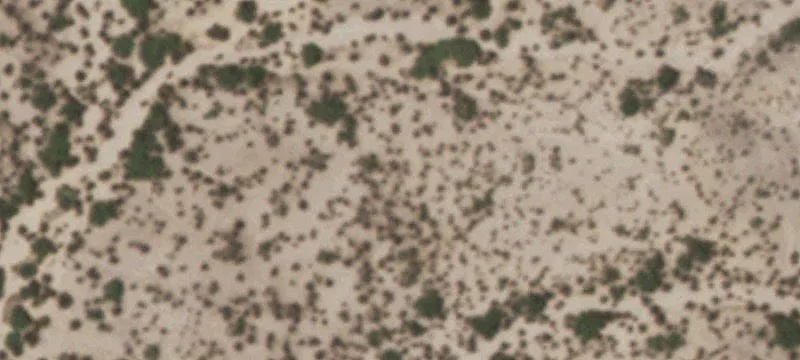 Tornillo, TX 79853