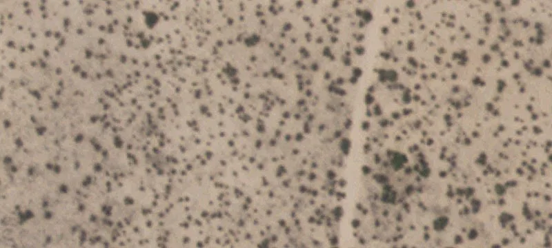 Tornillo, TX 79853
