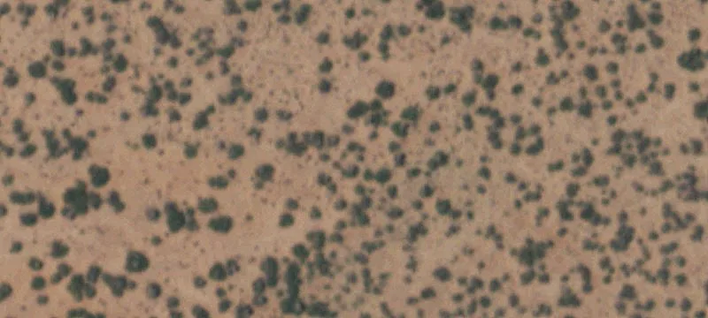 Clint, TX 79836