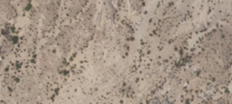Tornillo, TX 79853
