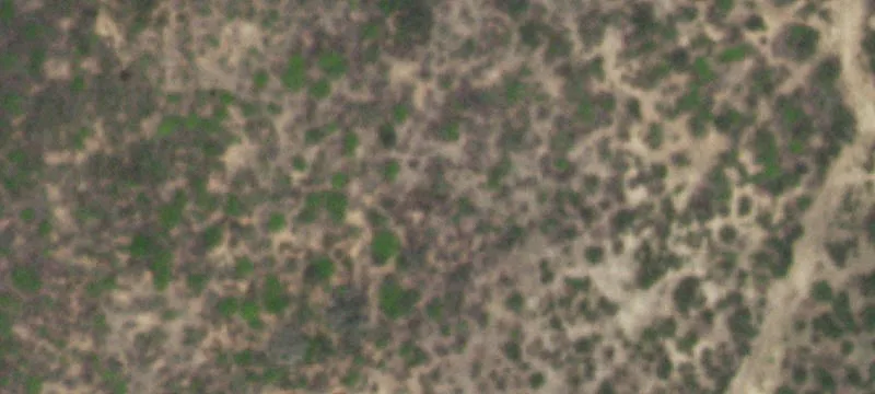 Christine, TX 78012