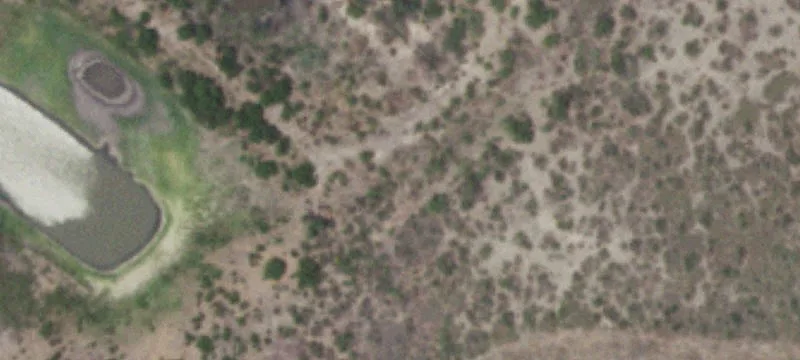 Christine, TX 78012